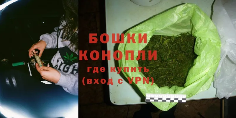 KRAKEN ССЫЛКА  Зубцов  Шишки марихуана SATIVA & INDICA 